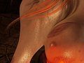 nipples