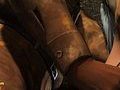clitoris