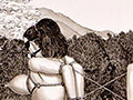 flogged