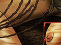 breasts