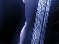 sex