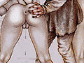 knickers
