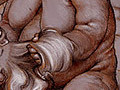 cock