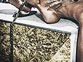 cunt